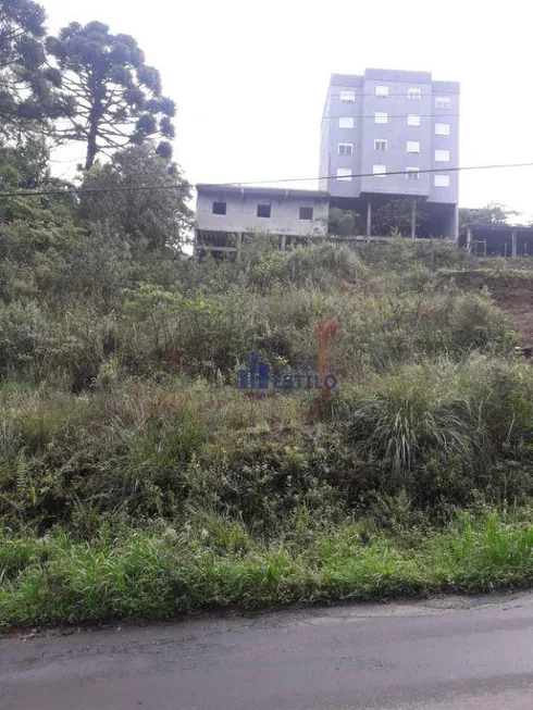 Foto 1 de Lote/Terreno à venda, 517m² em Cruzeiro, Caxias do Sul