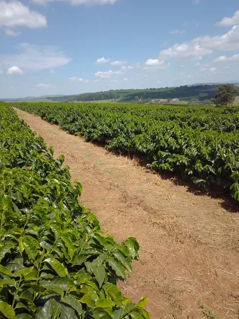 Foto 1 de Fazenda/Sítio à venda, 3650000m² em Vila Pinto, Varginha