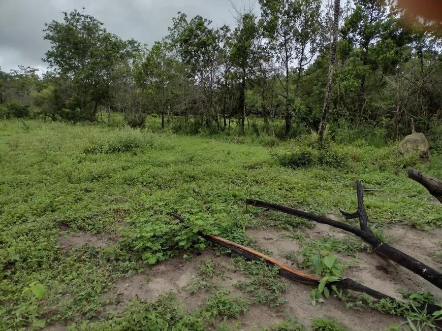 Foto 1 de Fazenda/Sítio à venda, 20000m² em Centro, Fortuna de Minas