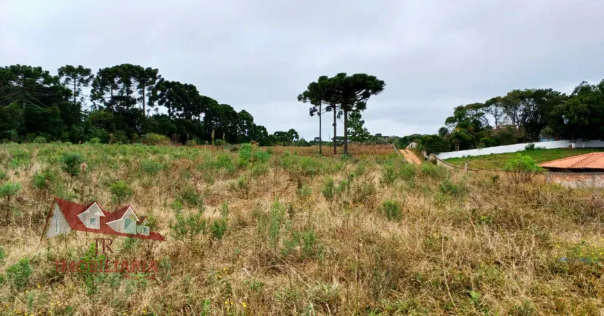 Foto 1 de Fazenda/Sítio com 1 Quarto à venda, 6000m² em Campo Largo da Roseira, São José dos Pinhais