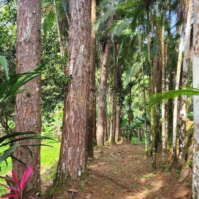 Foto 1 de Fazenda/Sítio com 3 Quartos à venda, 250m² em Pirabeiraba Centro, Joinville