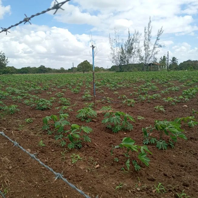 Foto 1 de Fazenda/Sítio à venda, 60000m² em , Vera Cruz