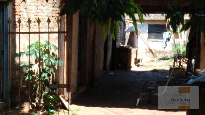 Foto 1 de Lote/Terreno à venda, 300m² em Jardim Conceicao, São José do Rio Preto