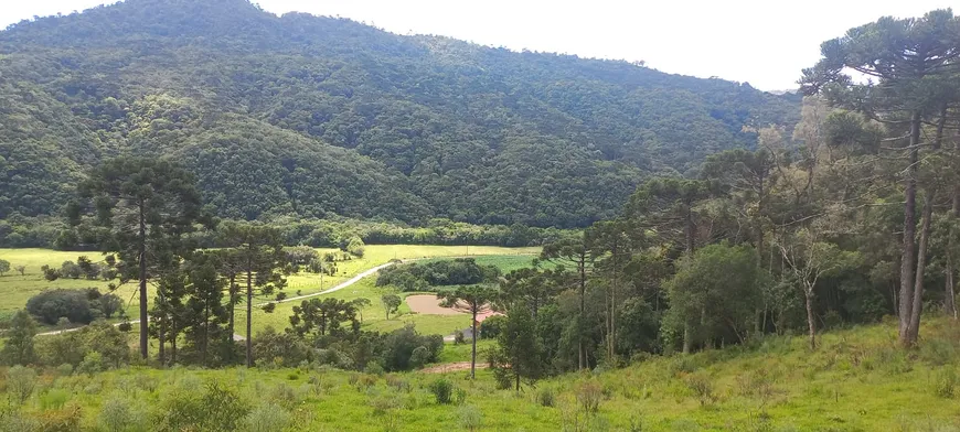 Foto 1 de Fazenda/Sítio à venda, 20000m² em São José, Urubici