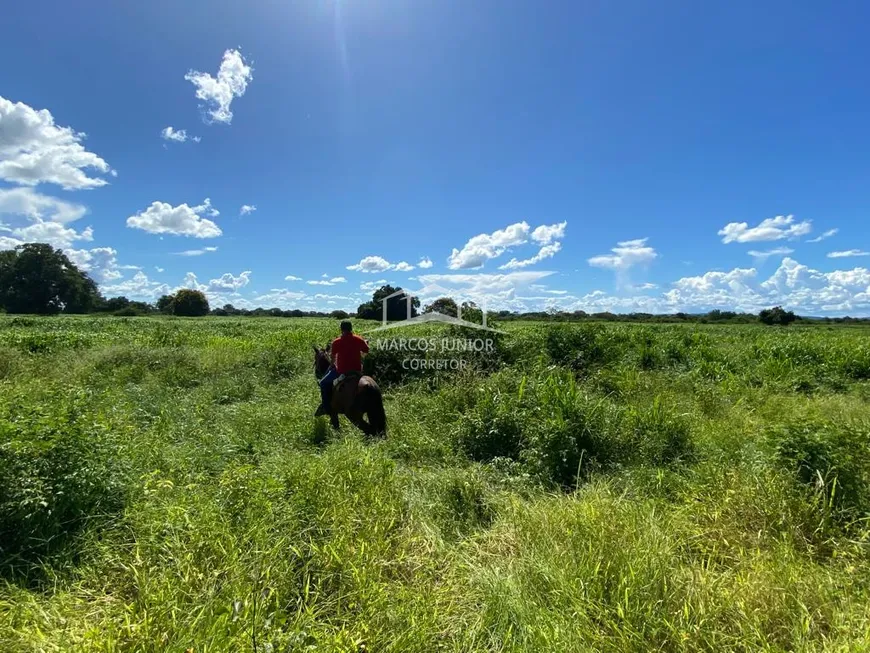 Foto 1 de Fazenda/Sítio à venda em Centro, Januária