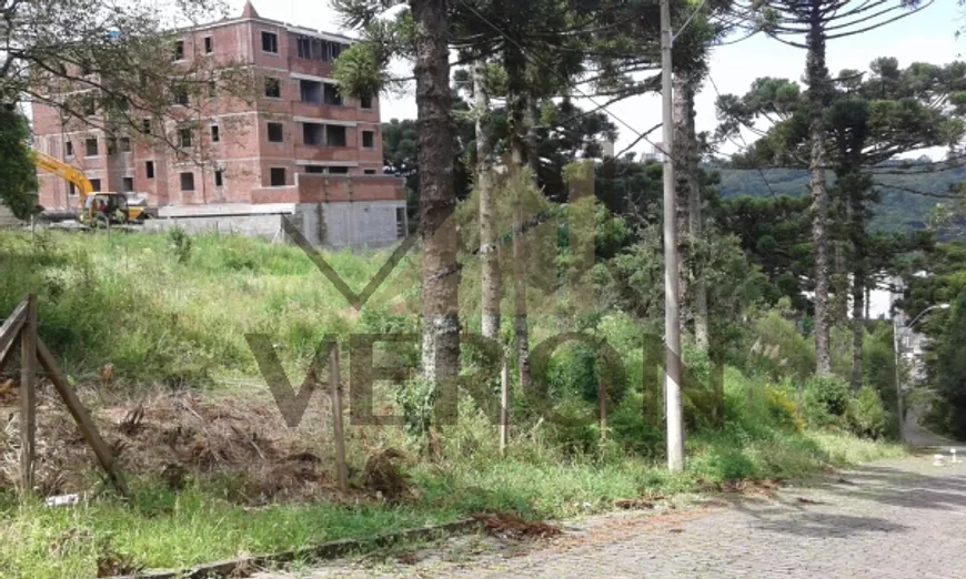 Foto 1 de Lote/Terreno à venda, 720m² em Salgado Filho, Caxias do Sul