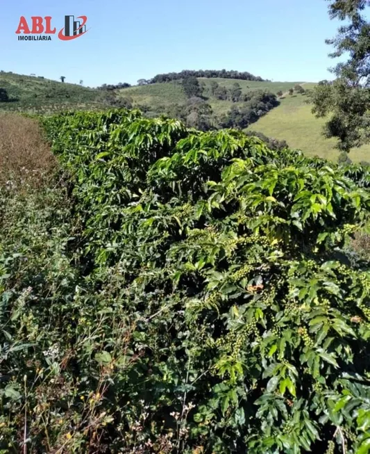 Foto 1 de Fazenda/Sítio à venda, 1694000m² em Centro, São Gonçalo do Sapucaí