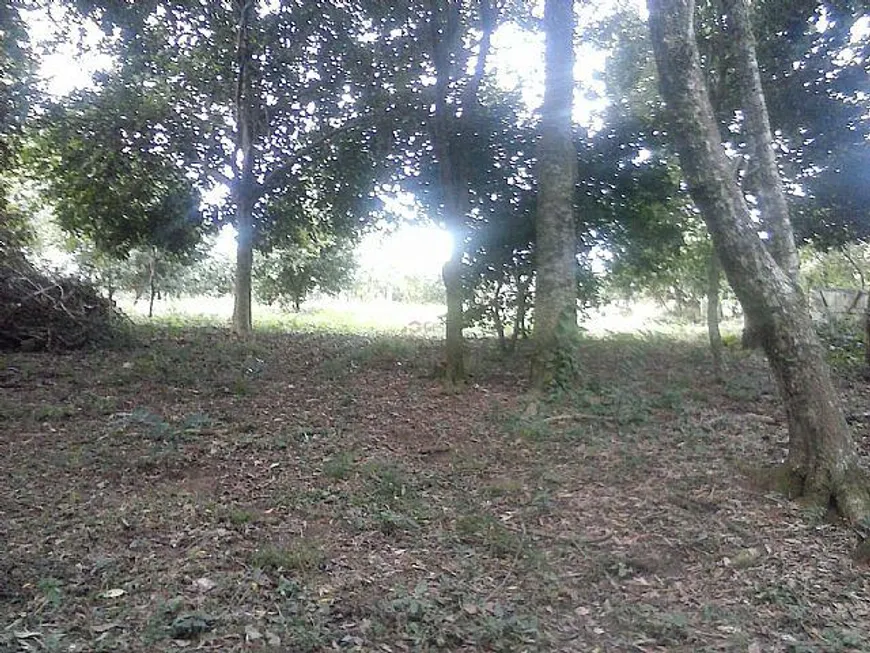 Foto 1 de Lote/Terreno à venda, 1000m² em Caju, Nova Santa Rita