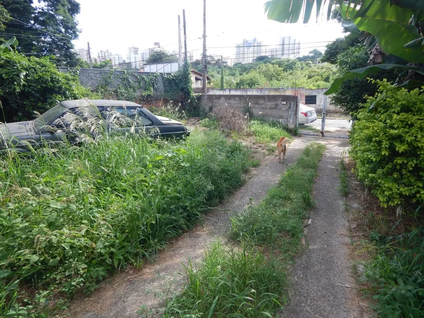 Foto 1 de Lote/Terreno à venda, 1000m² em Parque Rural Fazenda Santa Cândida, Campinas