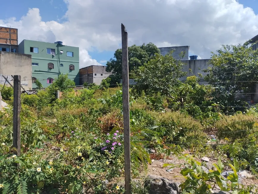 Foto 1 de Lote/Terreno à venda, 450m² em Centro, Vila Velha