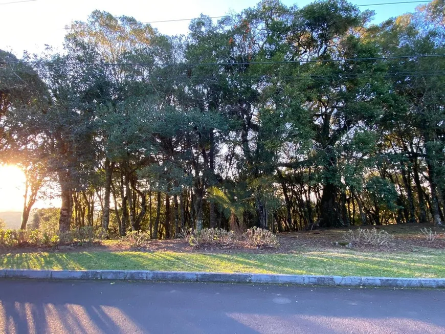 Foto 1 de Lote/Terreno à venda, 1435m² em Lagos de Gramado, Gramado