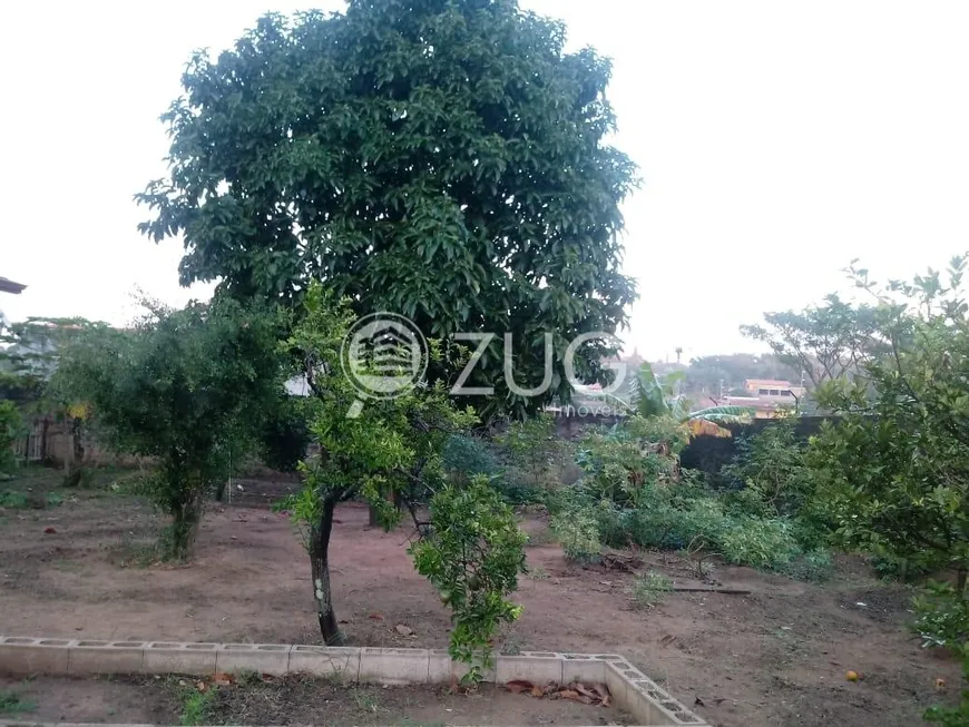 Foto 1 de Fazenda/Sítio com 3 Quartos à venda, 270m² em Chacaras Meu Cantinho, Monte Mor