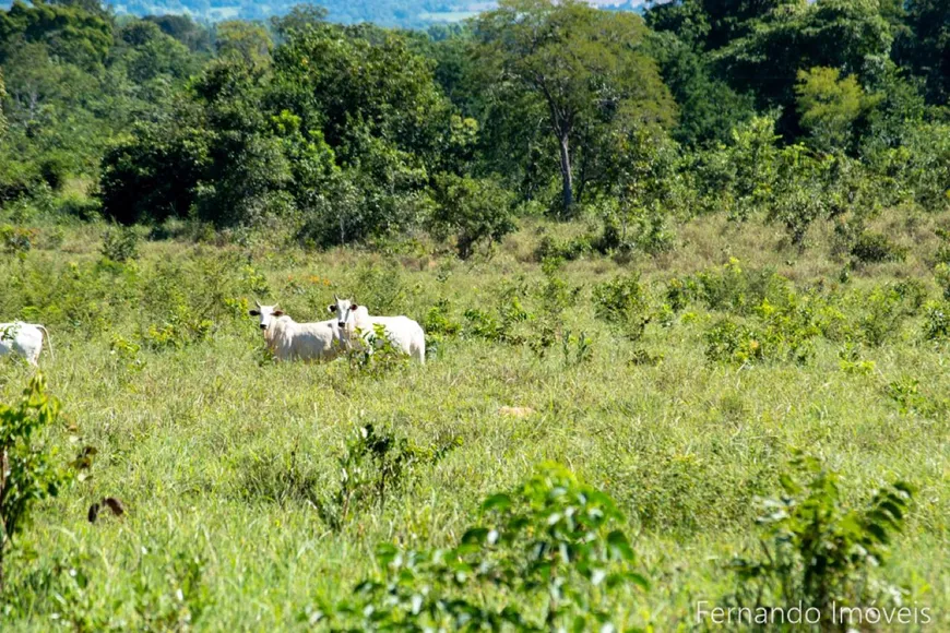 Foto 1 de Fazenda/Sítio à venda em Centro, Niquelândia