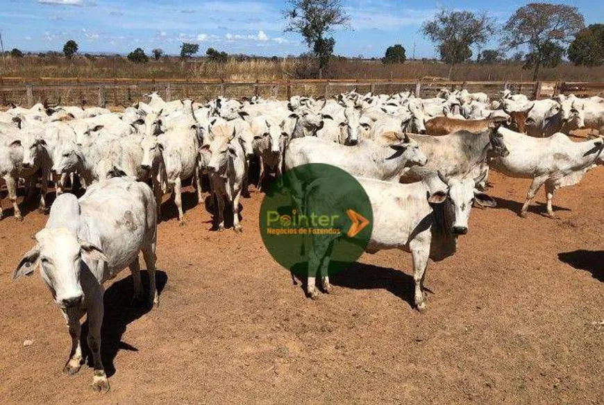 Foto 1 de Fazenda/Sítio à venda, 139580m² em Zona Rural, Flores de Goiás