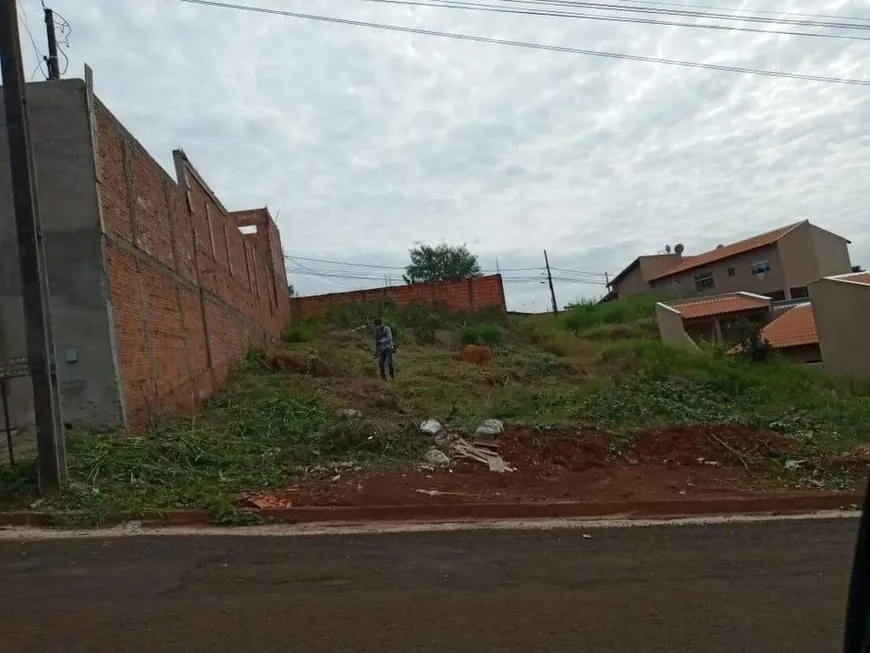 Foto 1 de Lote/Terreno à venda, 250m² em Jardim Paris, Londrina