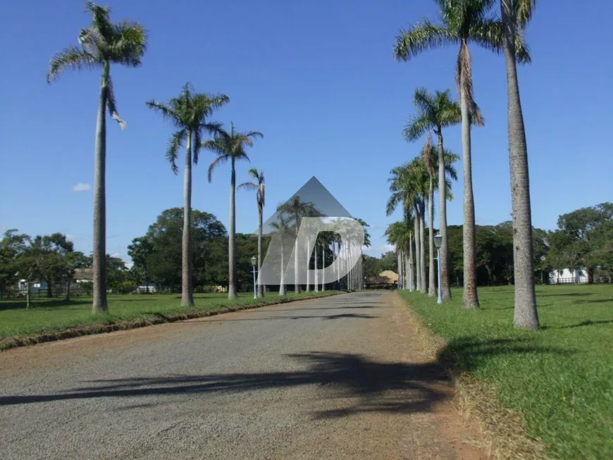 Foto 1 de Lote/Terreno à venda, 2710m² em Vila Hollândia, Campinas