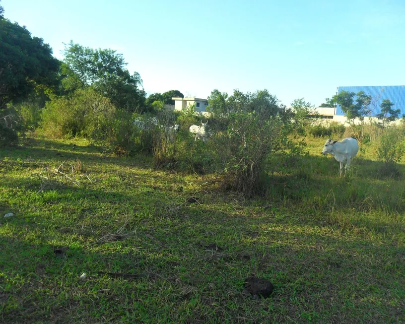 Foto 1 de Lote/Terreno à venda, 6000m² em Alto do Jacu Sambaetiba, Itaboraí