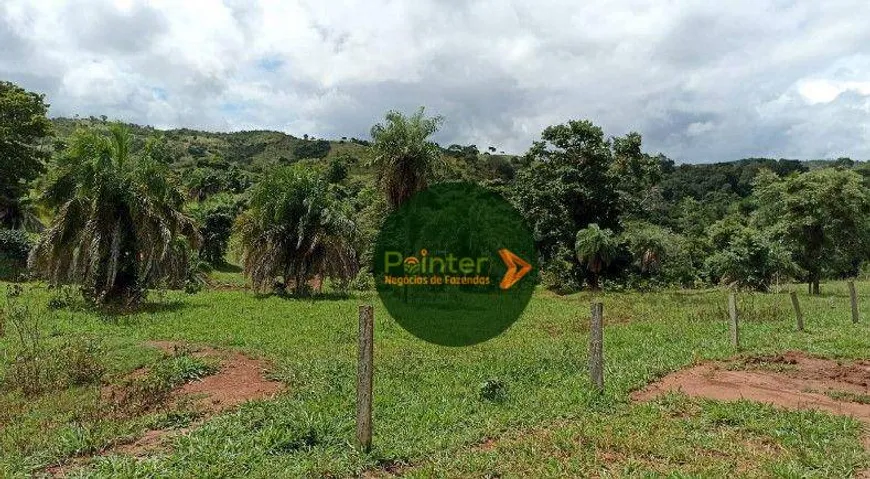 Foto 1 de Fazenda/Sítio com 2 Quartos à venda, 4888400m² em Zona Rural, Uruana