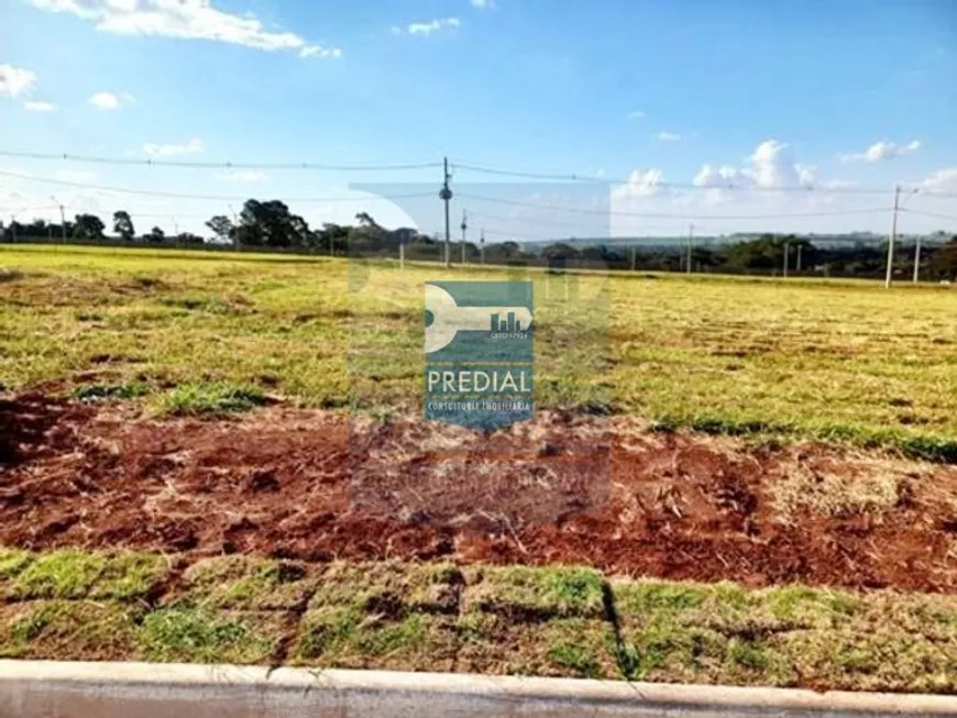 Foto 1 de Lote/Terreno à venda, 250m² em Residencial Samambaia, São Carlos