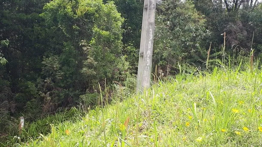 Foto 1 de Galpão/Depósito/Armazém à venda, 10854m² em Contenda, São José dos Pinhais