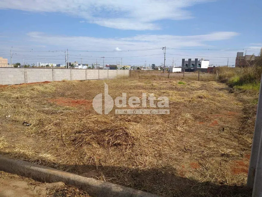 Foto 1 de Lote/Terreno à venda, 303m² em Novo Mundo, Uberlândia