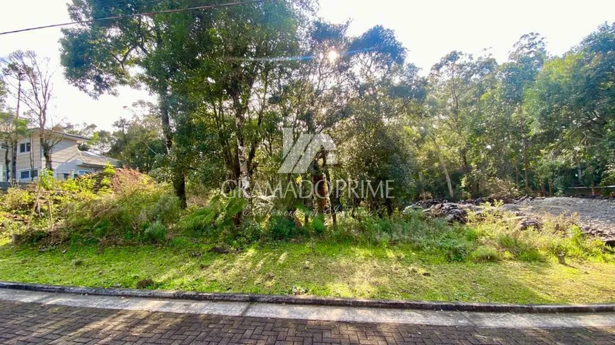 Foto 1 de Lote/Terreno à venda, 463m² em Carniel, Gramado