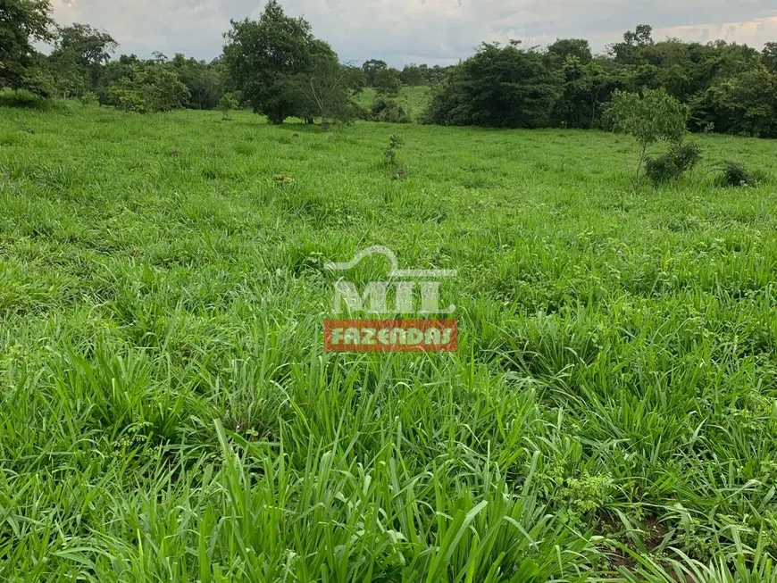 Foto 1 de Fazenda/Sítio à venda, 2904000m² em Zona Rural, Jaú do Tocantins