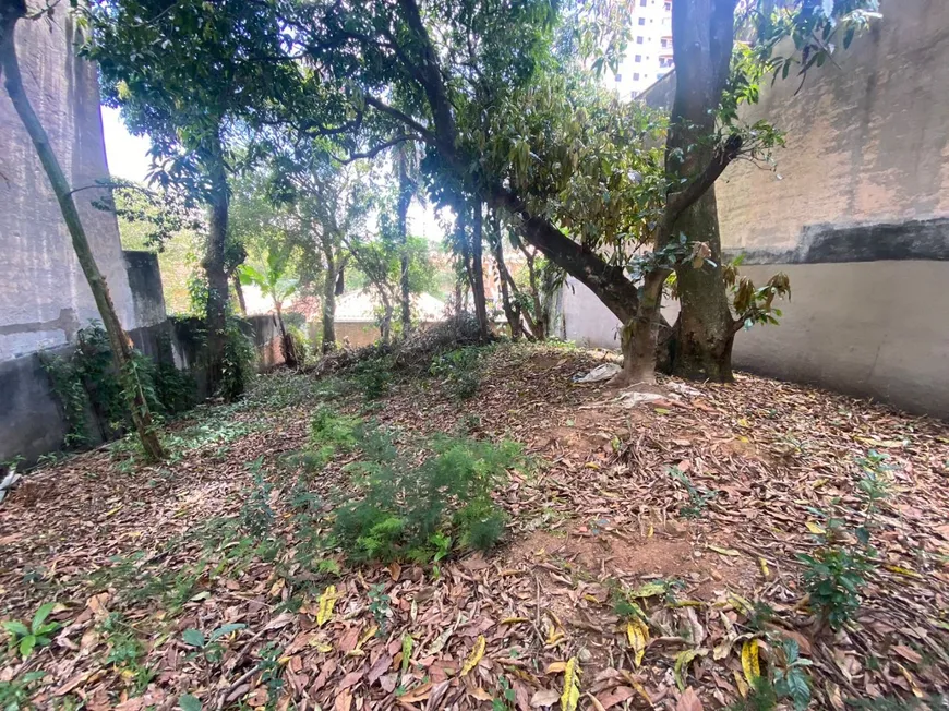 Foto 1 de Lote/Terreno à venda, 300m² em Vila Mascote, São Paulo