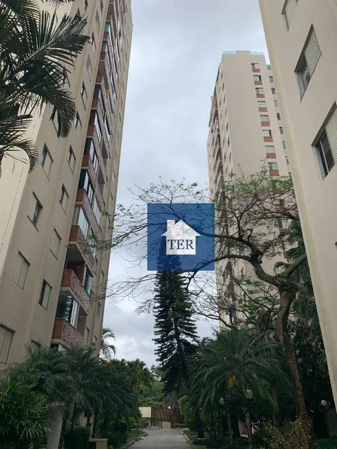 Foto 1 de Apartamento com 3 Quartos à venda, 85m² em Barro Branco, São Paulo