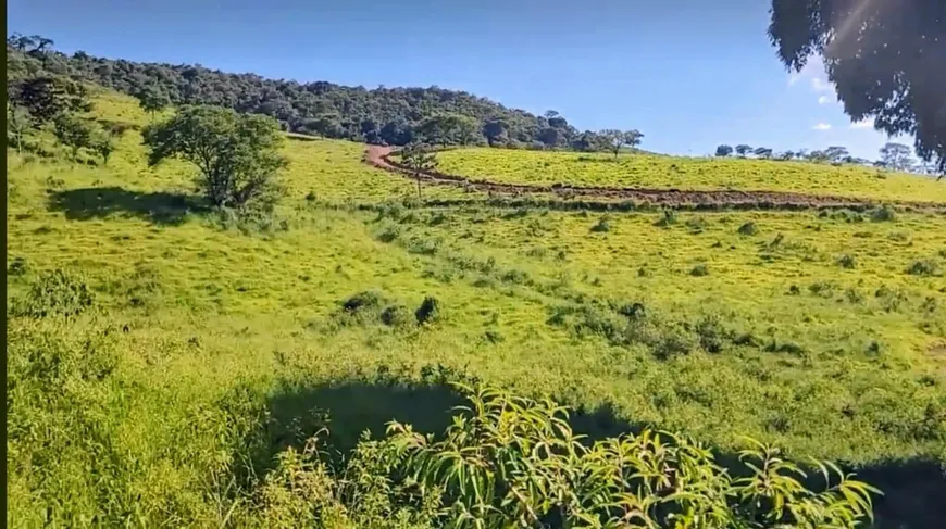 Foto 1 de Lote/Terreno à venda, 20000m² em , Cambuí