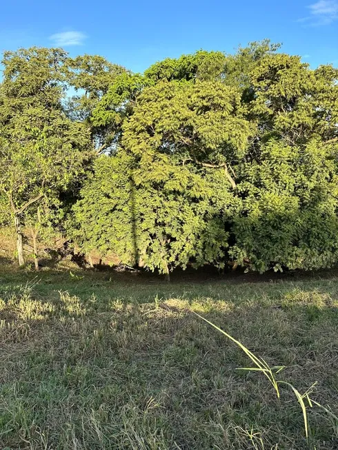 Foto 1 de Fazenda/Sítio à venda, 2098m² em CARDEAL, Elias Fausto