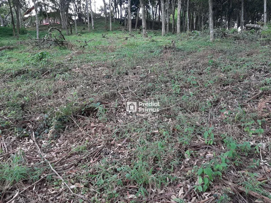 Foto 1 de Lote/Terreno à venda, 452m² em Vargem Grande, Nova Friburgo