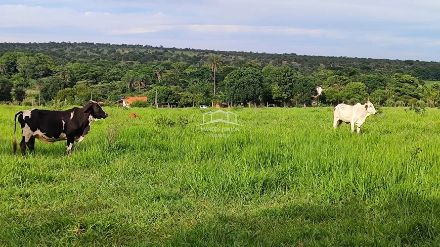 Foto 1 de Fazenda/Sítio à venda, 175000m² em Area Rural de Montes Claros, Montes Claros