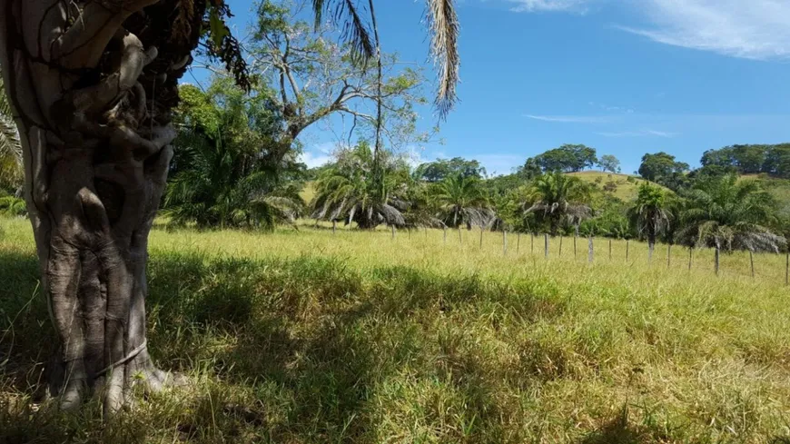 Foto 1 de Fazenda/Sítio com 3 Quartos à venda, 275m² em Zona Rural , Morrinhos