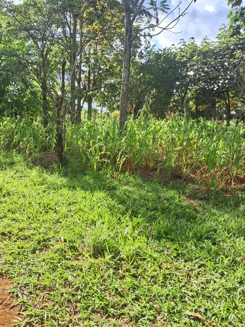 Foto 1 de Fazenda/Sítio à venda, 30000m² em Area Rural de Brazlandia, Brasília