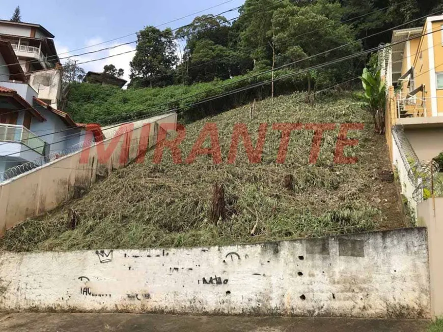 Foto 1 de Lote/Terreno à venda, 640m² em Vila Irmãos Arnoni, São Paulo