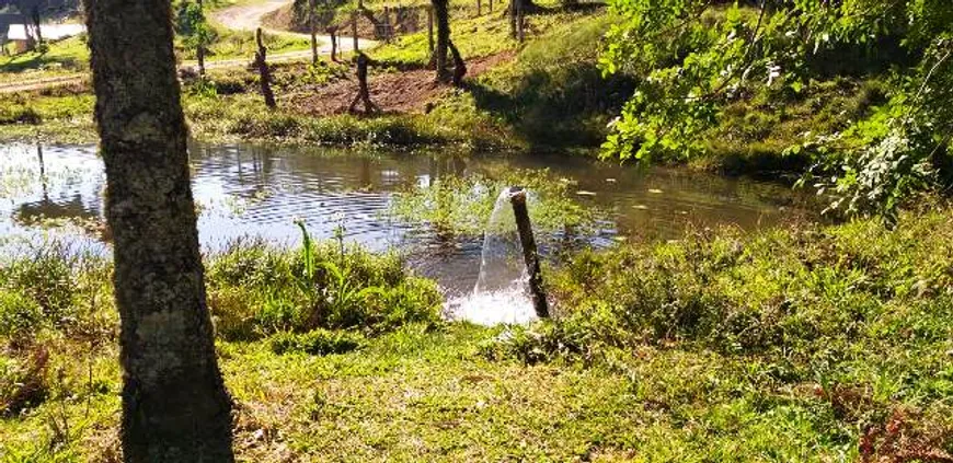 Foto 1 de Fazenda/Sítio com 1 Quarto à venda, 24000m² em Contenda, São José dos Pinhais