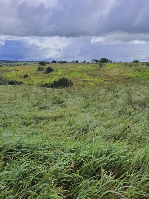 Foto 1 de Fazenda/Sítio com 3 Quartos à venda, 20000m² em Monte Alegre, Monte Alegre