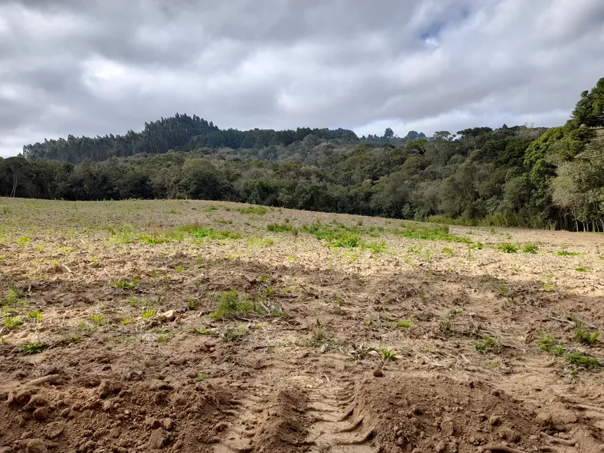 Foto 1 de Fazenda/Sítio com 1 Quarto à venda, 35000m² em Roça Velha, São José dos Pinhais