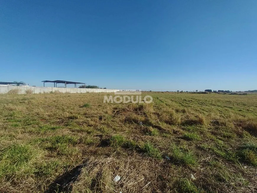 Foto 1 de para alugar, 20000m² em Loteamento Centro Empresarial Leste III, Uberlândia