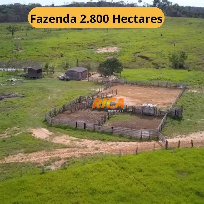 Foto 1 de Fazenda/Sítio à venda, 28000000m² em , Manicoré