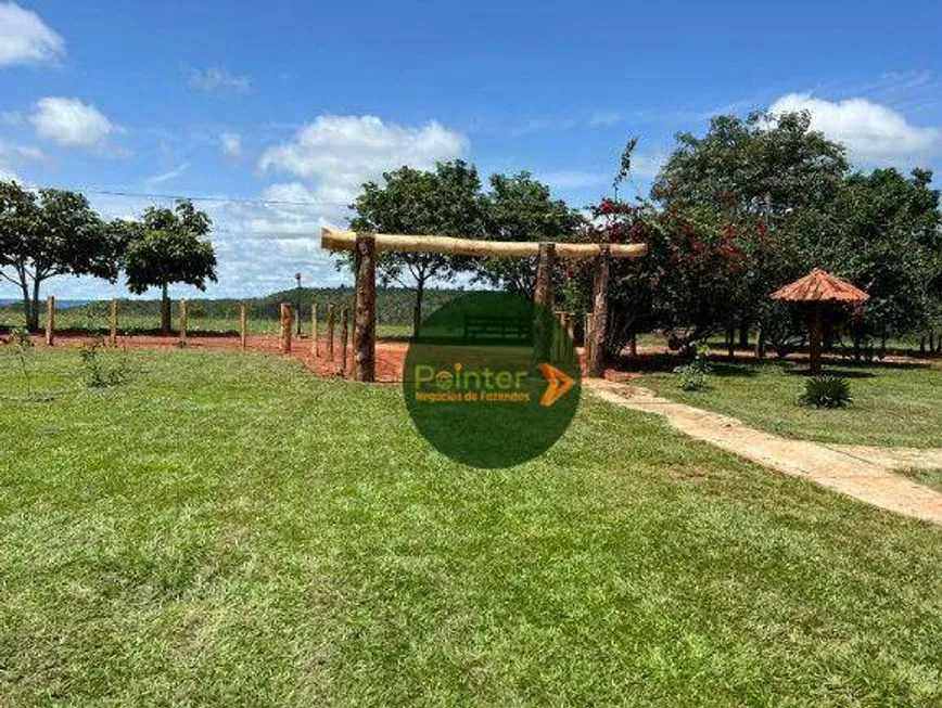 Foto 1 de Fazenda/Sítio à venda, 58080000m² em , Pontal do Araguaia