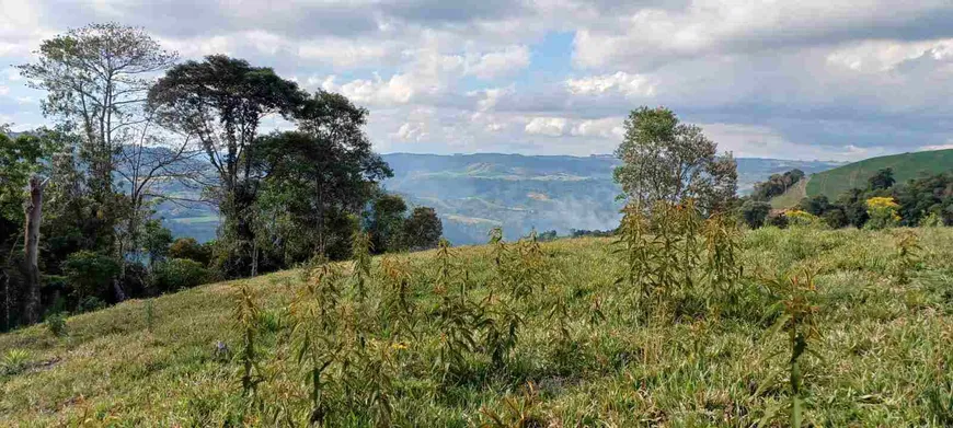 Foto 1 de Fazenda/Sítio à venda, 50000m² em Centro, Alfredo Wagner