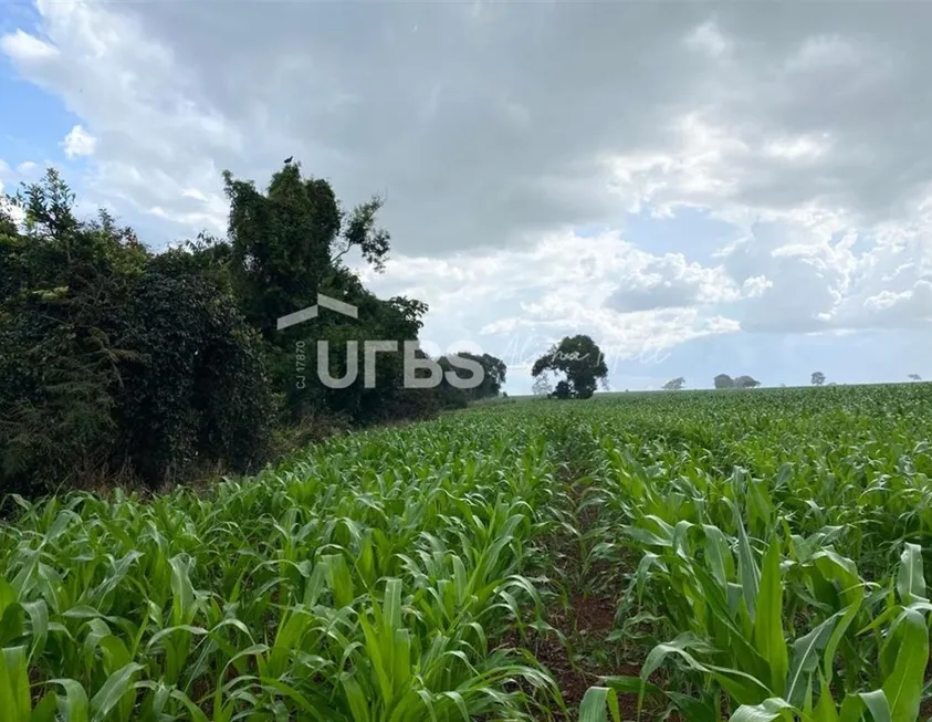 Foto 1 de Fazenda/Sítio à venda, 290400m² em Setor Central , Bela Vista de Goiás