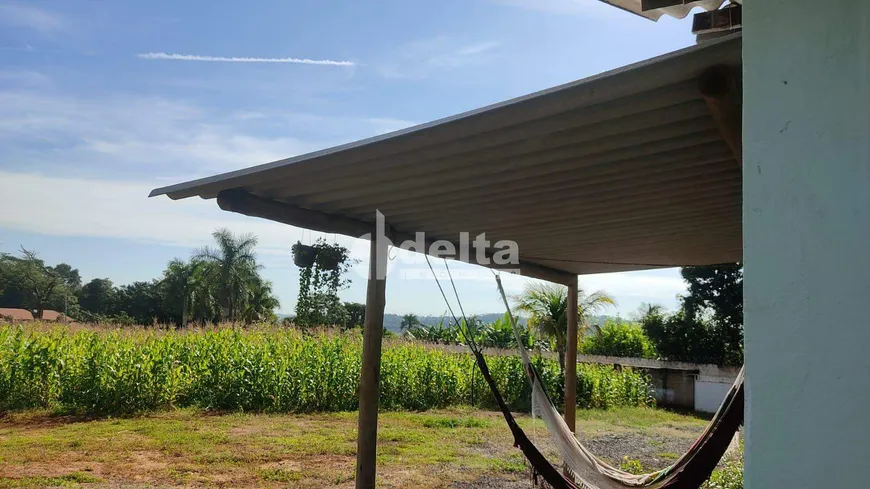 Foto 1 de Fazenda/Sítio com 1 Quarto à venda, 50m² em Minas Gerais, Uberlândia