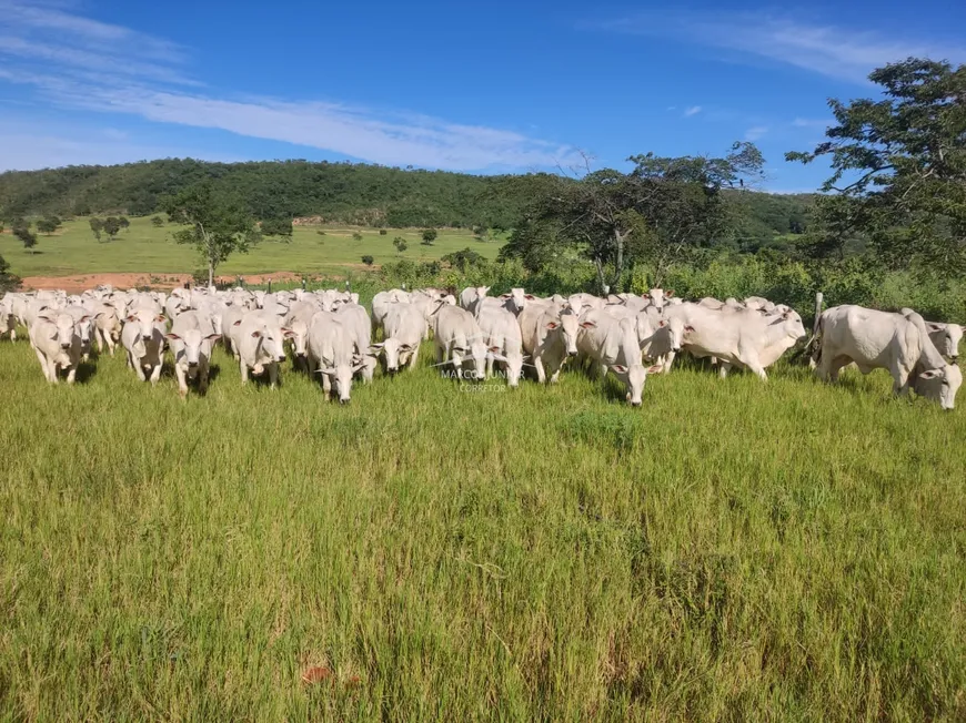 Foto 1 de Fazenda/Sítio à venda em Centro, Brasilândia de Minas