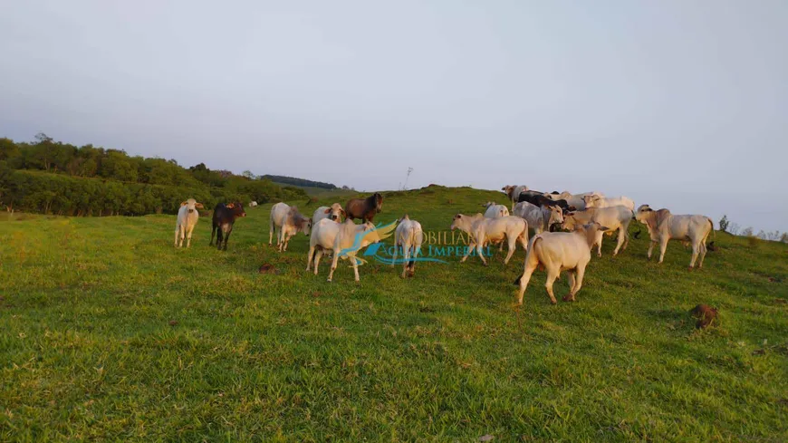 Foto 1 de Fazenda/Sítio à venda, 242000m² em , Guaraniaçu