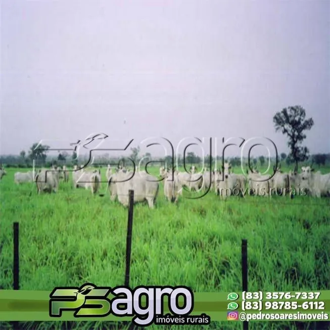 Foto 1 de Fazenda/Sítio com 1 Quarto à venda, 100000000m² em , Formoso do Araguaia