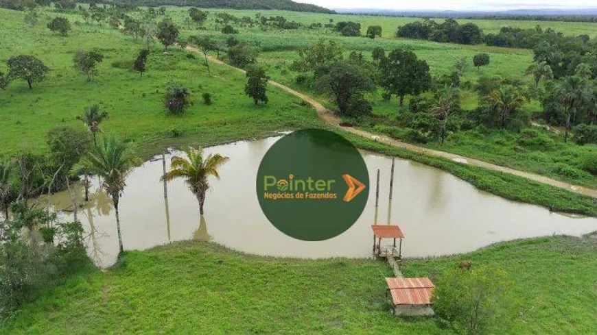 Foto 1 de Fazenda/Sítio à venda, 8228000m² em Zona Rural, Cavalcante