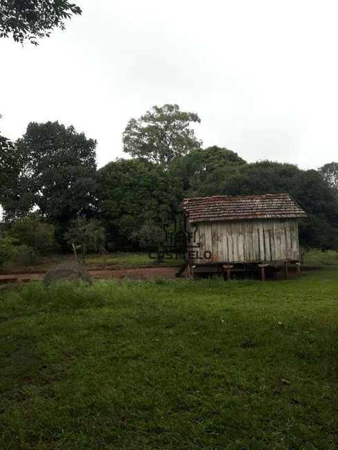 Foto 1 de Fazenda/Sítio à venda, 64000m² em Guaravera, Londrina